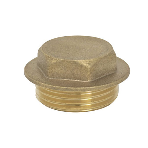 Picture of 1/2" Brass Flange Plug
