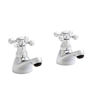 Viktory Pair Bath Pillar Taps