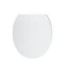 Astley Seat for c/c Pan Matt White