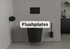 Picture for category Flush Plates