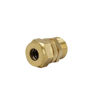 1/2" Spring Safety Valve