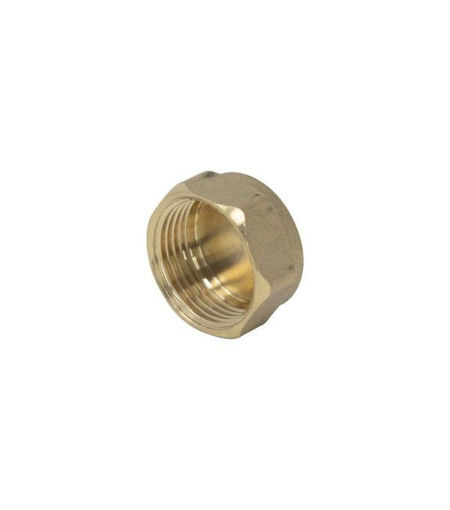 1" BRASS BLANKING CAP