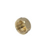 1" BRASS BLANKING CAP